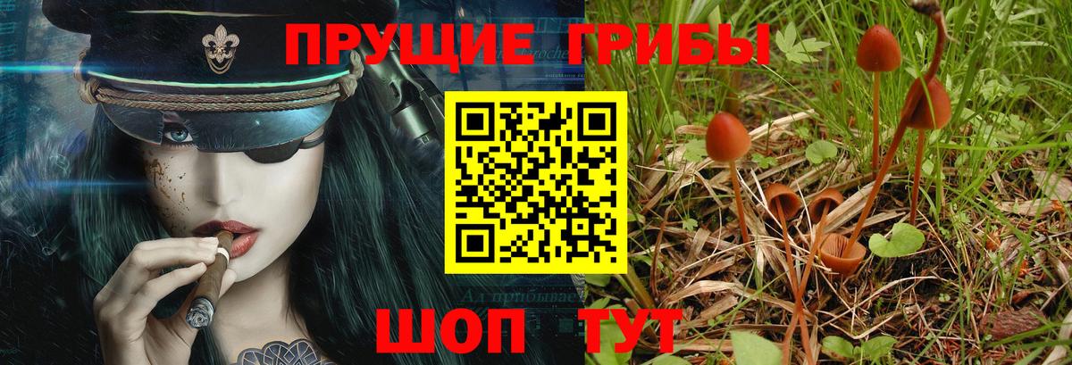 Владикавказ  Галлюциногенные грибы Cubensis  Псилоцибиновые грибы Psilocybe  купить  цена  Вход с VPN 